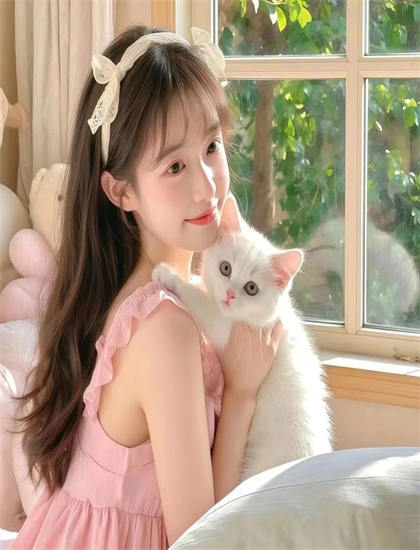 2026春季档不羁女：上映表现与评价